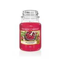 Yankee Candle Red Raspberry vonná svíčka classic velký
