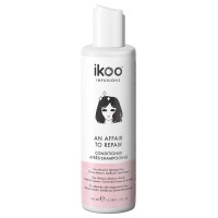 ikoo An Affair to Repair Conditioner