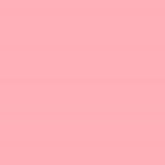 358 - PEARLY ROSE - Cestovní velikost