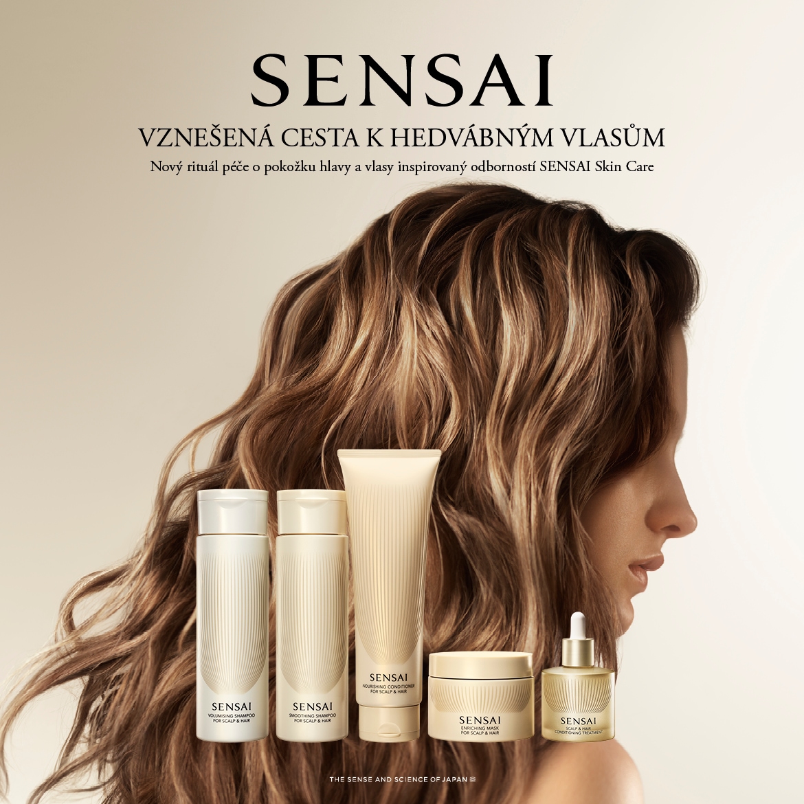 1,00_1170x1170_AW26_HAIR_cz_wd.jpg