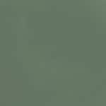 6F7B67 - LIGHT KHAKI