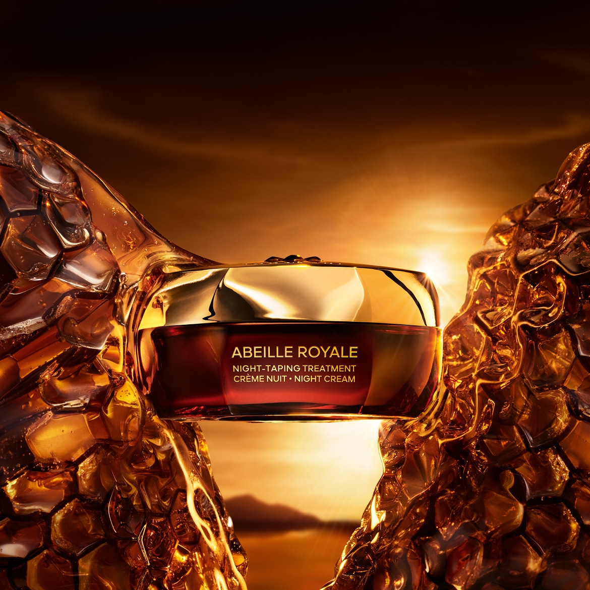 ARNC_banners__01_1170 x 1170.jpg