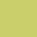 KIWI TO MY HEART