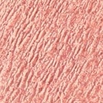 PECHE GLACEE 252