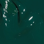 NAT035 - LEAF BY EXAMPLE