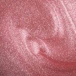 Chicago Champaign toast