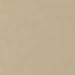 027 N - NEUTRAL AMBER BEIGE