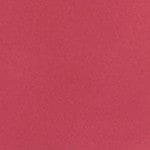 Bare Raspberry
