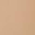 305N = 048 Beige Châtaigne