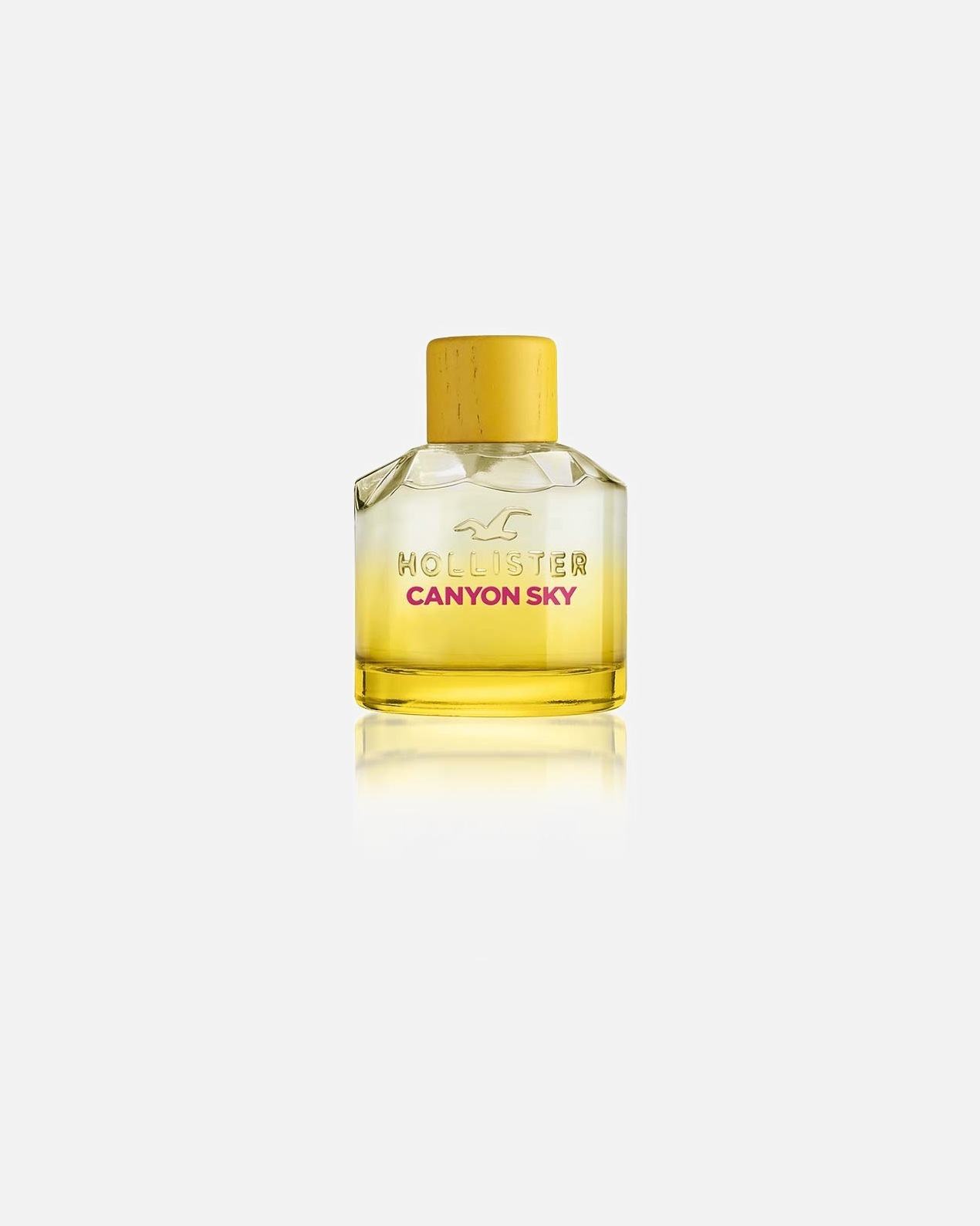 Parfémová voda po Pro ženyHollisterCanyon SkyFor Her100 ml
