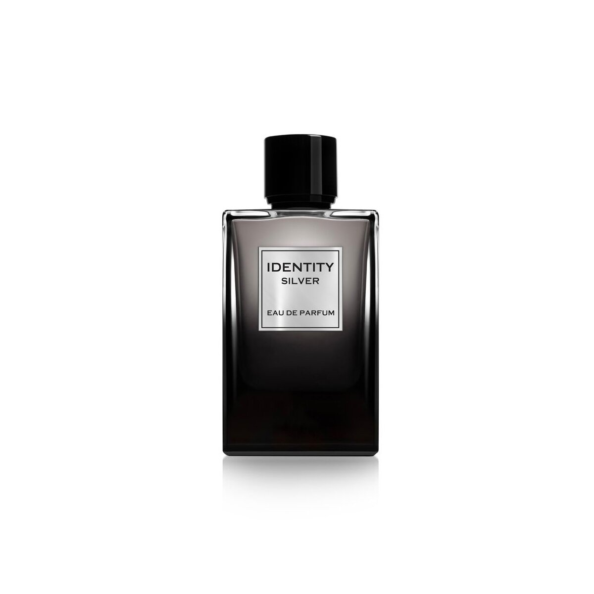 Parfémová voda po Pro mužeGA-DEIdentity Silver Pour Homme - EdP100 ml