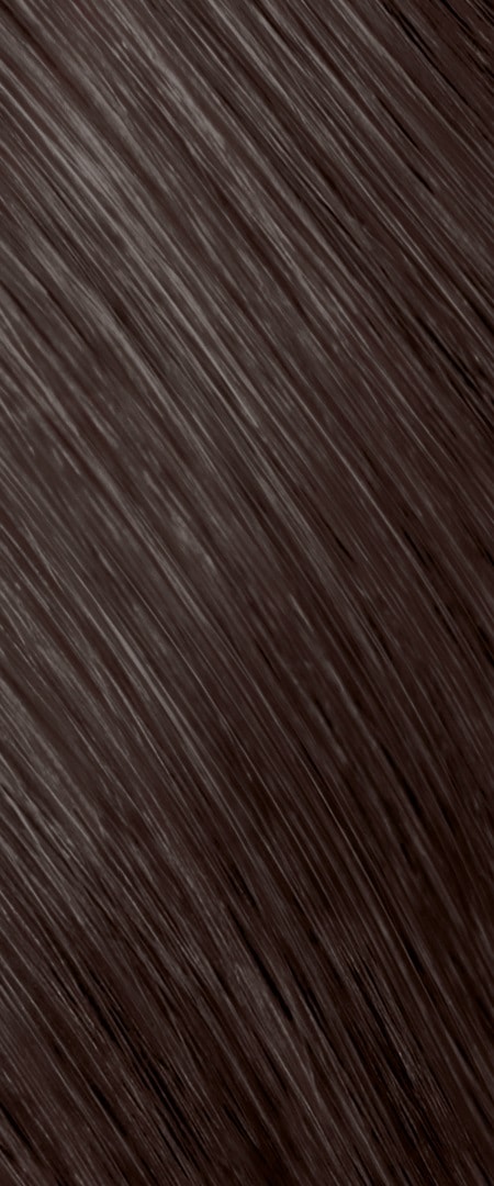 6SB Stříbrná hnědá