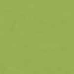 Petit Pois