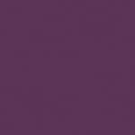 14 - MAGNETIC PURPLE