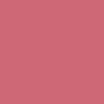 Nr. 03 - Camellia